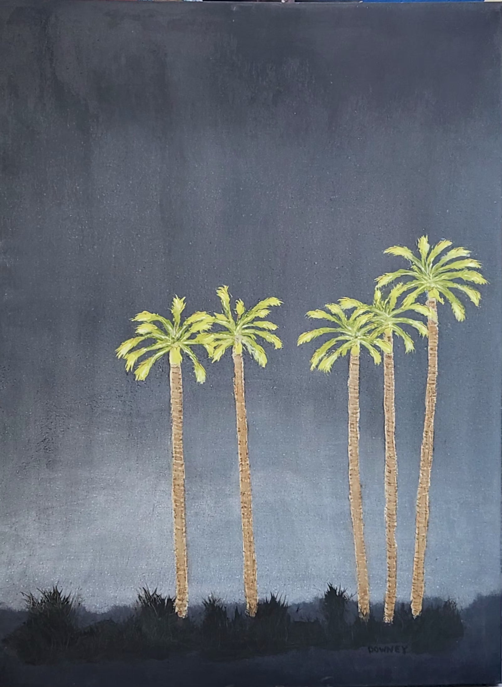 Up-lit Palms